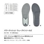 AC193 �ѥ���å���󥦥����֥��󥽡���2 ���ߤ� ���1980��