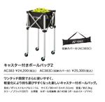 AC383C ���㥹�����դ��ܡ���Хå����ʼ�Ǽ���С��դ��� ���25300��