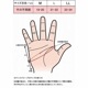 AC272H �ƥ˥���������(����ξ���ѡ��ͥ��륹�롼�����ʿ��ͭ��) ���4070��