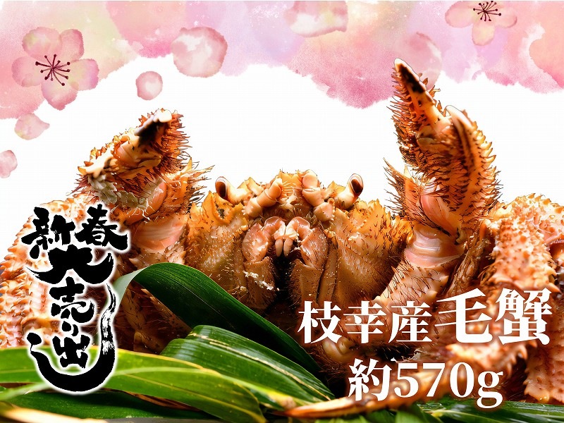 �޹����������ӥ���570g��1��