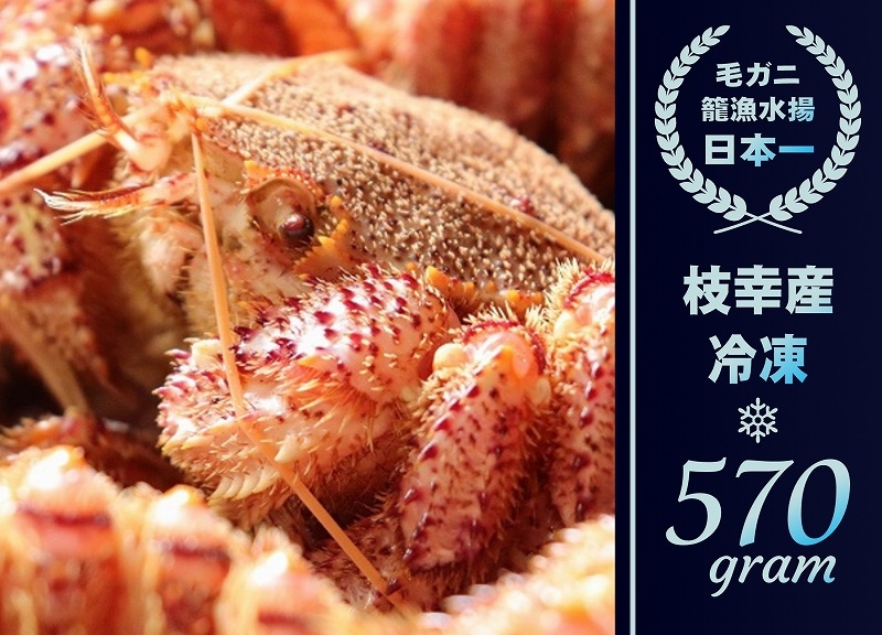 北海道産　冷凍ゆで毛ガニ570g×3 枝幸産 冷凍毛ガニ570g 1尾 | カニ | 瀧源商店 オンラインショップ