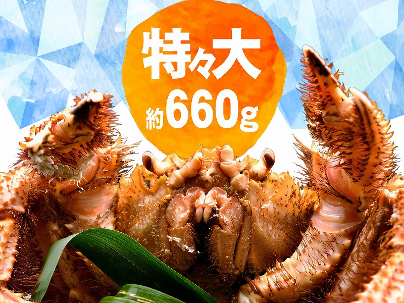 �޹����������ӥ���660g 1��
