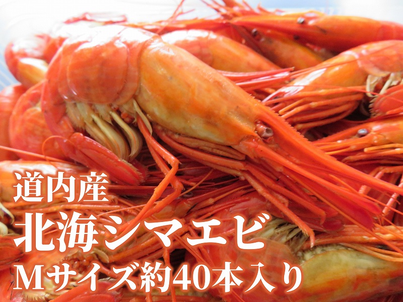 �̳����ޥ��ӡ�M��������400��