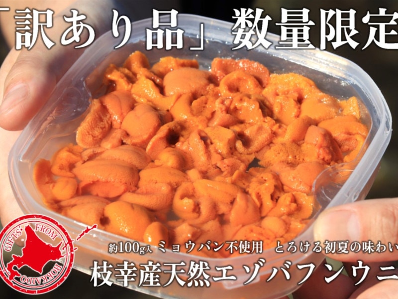 ��������ۻ޹��������奨���Хե󥦥ˡ���100���