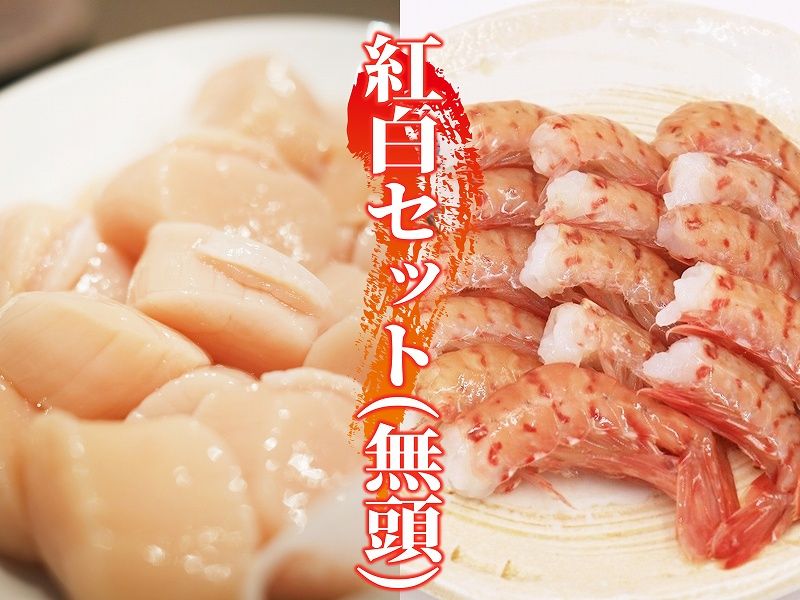 ���򥻥åȡ�̵Ƭ�ܥ��󥨥ӡ߻޹����ۥ��ơ�