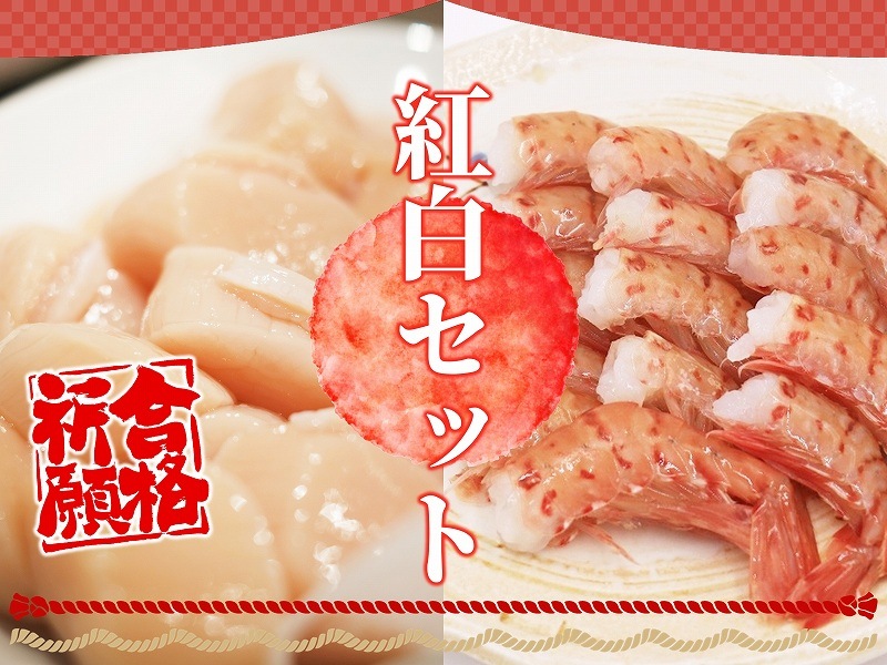 ���򥻥åȡ�̵Ƭ�ܥ��󥨥ӡ߻޹����ۥ��ơ�