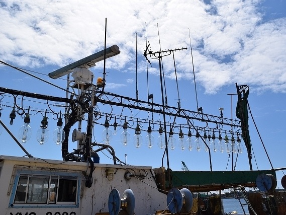 ���⻺ ���봳������ 3����