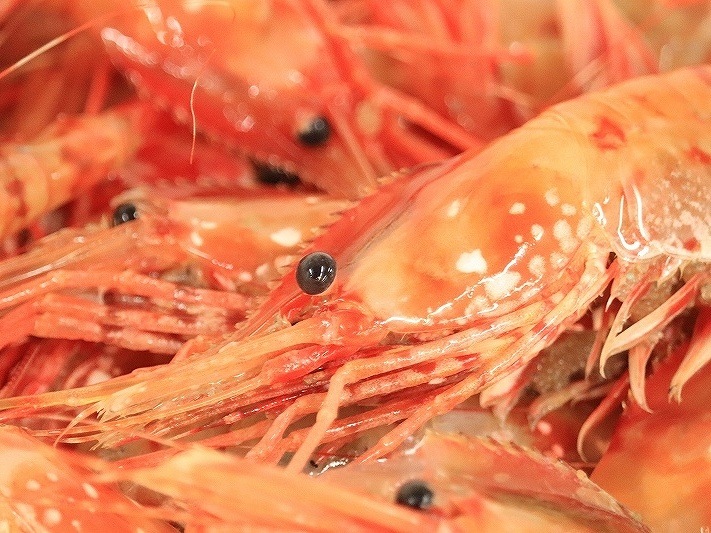 ���򥻥åȡ�̵Ƭ�ܥ��󥨥ӡ߻޹����ۥ��ơ�