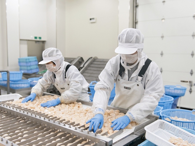 �޹������ɿ��Ѷ���ۥ��ơ����硡��500g ����Ȣ��