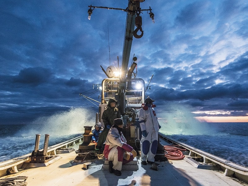 �޹������ɿ��Ѷ���ۥ��ơ������ꡡ��500g