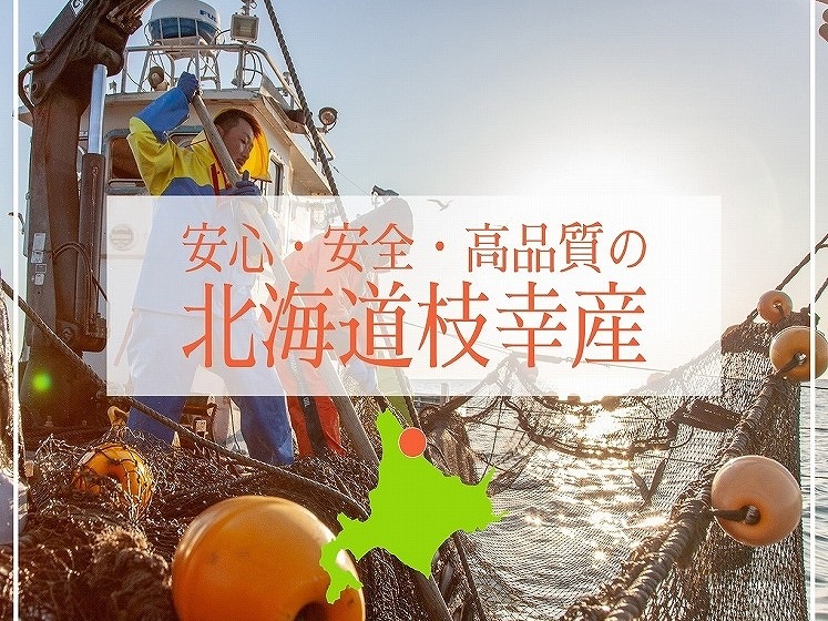 �޹������ɿ��Ѷ���ۥ��ơ������ꡡ��500g