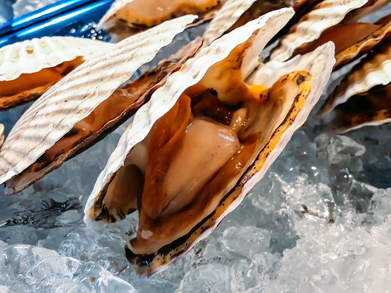 �޹������ɿ��Ѷ���ۥ��ơ������ꡡ��500g