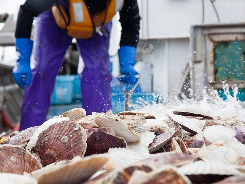 �޹������ɿ��Ѷ���ۥ��ơ������ꡡ��500g