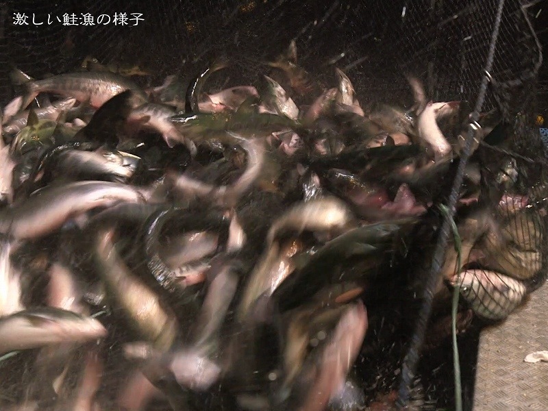 ���Ӻ��ڿ� �����Ҥ� 4����