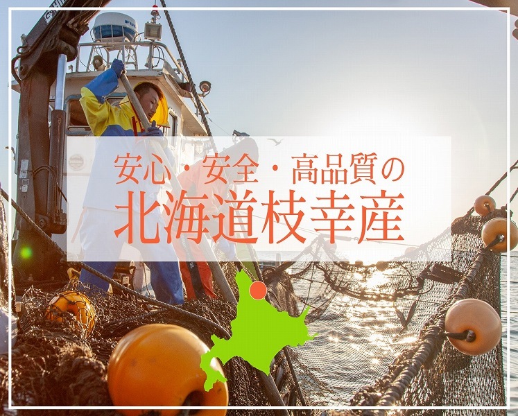�����������۰��봳�ʥ᥿���쥤�������ѥå� 2����