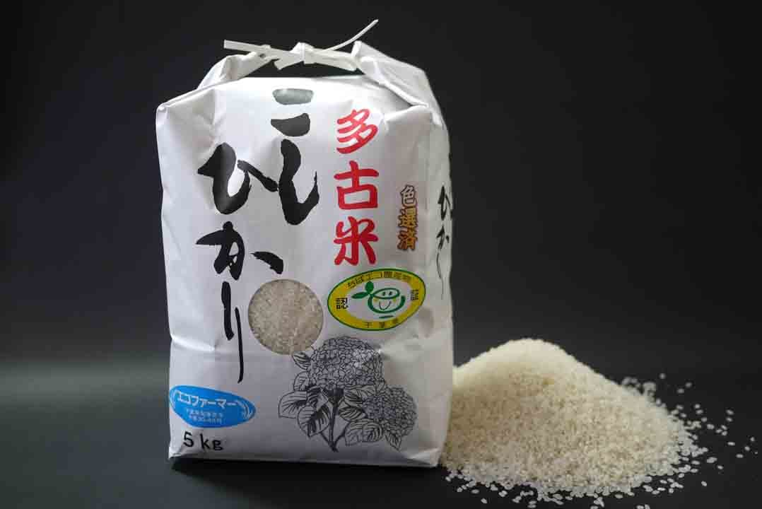 令和6年産【多古米コシヒカリ】特別栽培米（精米） [5kg]