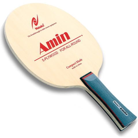 ニッタク　アミン