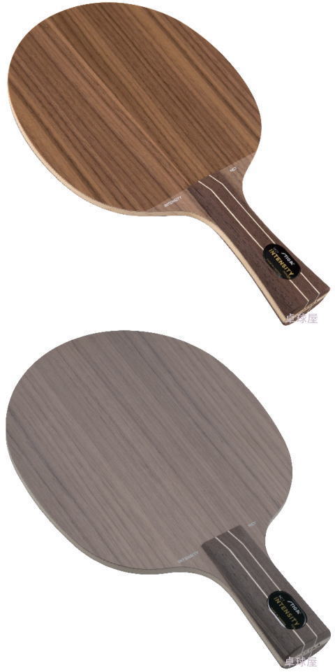 スティガ　インテンシティNCT