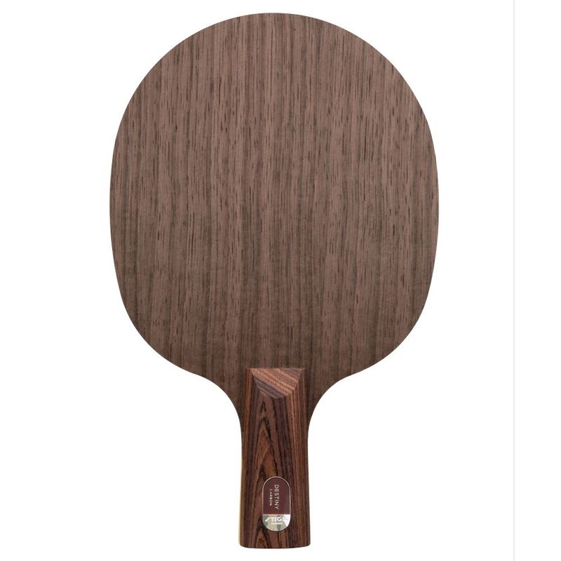 スティガ　ディスティニーカーボン　PEN