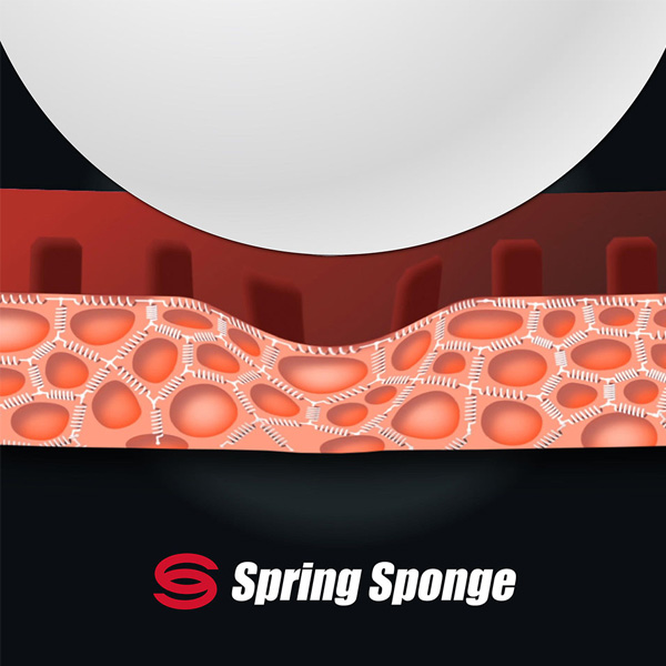 BUTTERFLY �Х��ե饤 �ƥʥ���25 