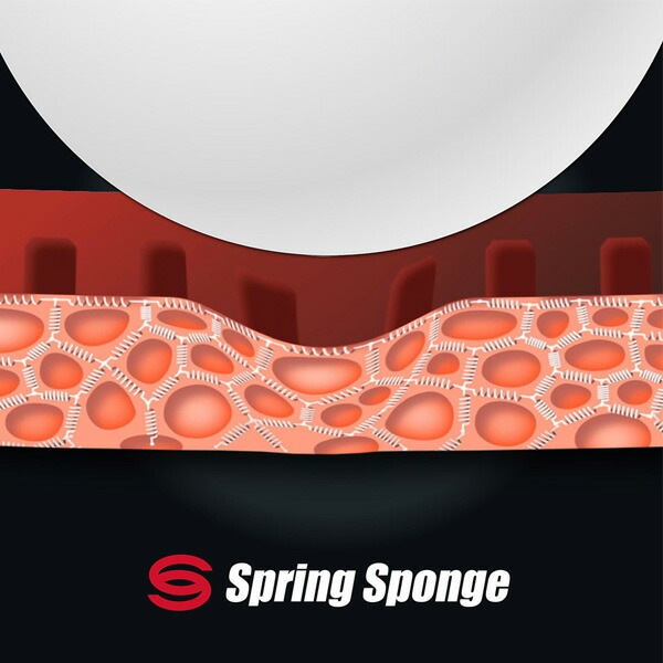 BUTTERFLY �ƥʥ���80FX