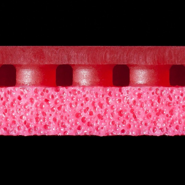 BUTTERFLY ������