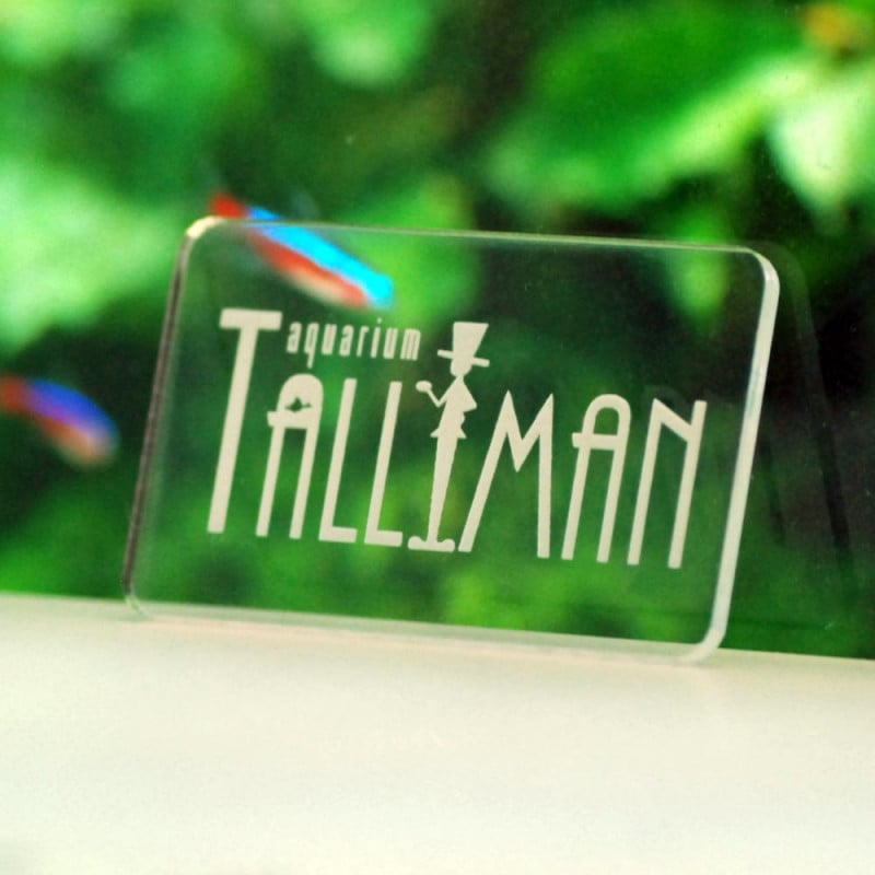 TALLMAN　アクリルロゴプレート　クリア