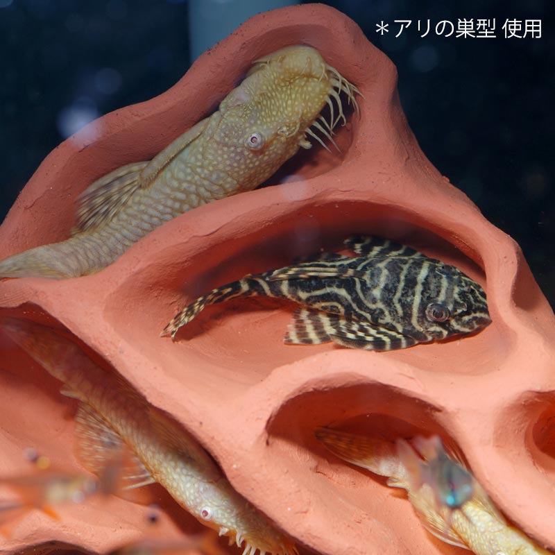 SheltaCrafta アリの巣型 | レイアウト素材,Shelta Crafta シェルター