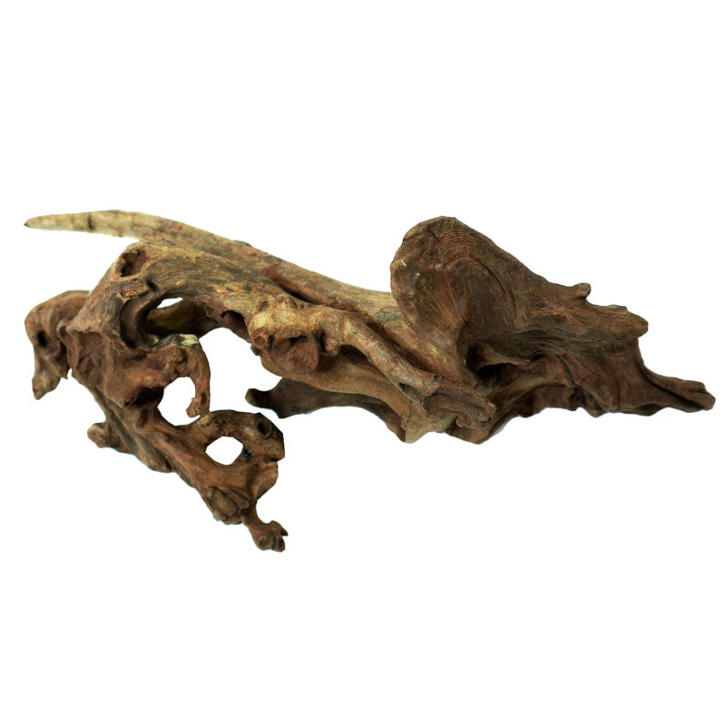 デルフィス リベラ流木 ウッドサージ90cm水槽用セレクトSET