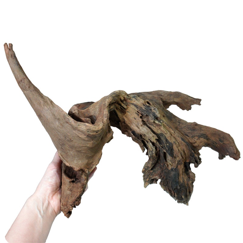 デルフィス リベラ流木 ウッドサージ60cm水槽用セレクトSET