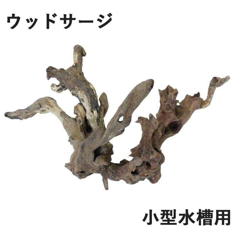 デルフィス リベラ流木 ウッドサージ小型水槽用セレクトSET