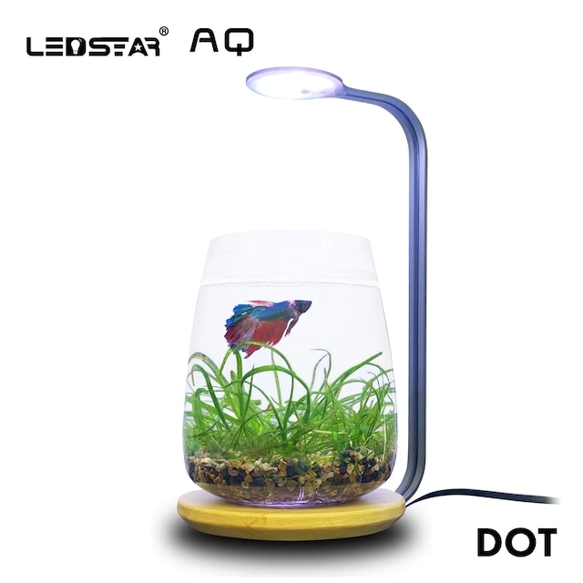 LEDSTAR　DOT RGBW