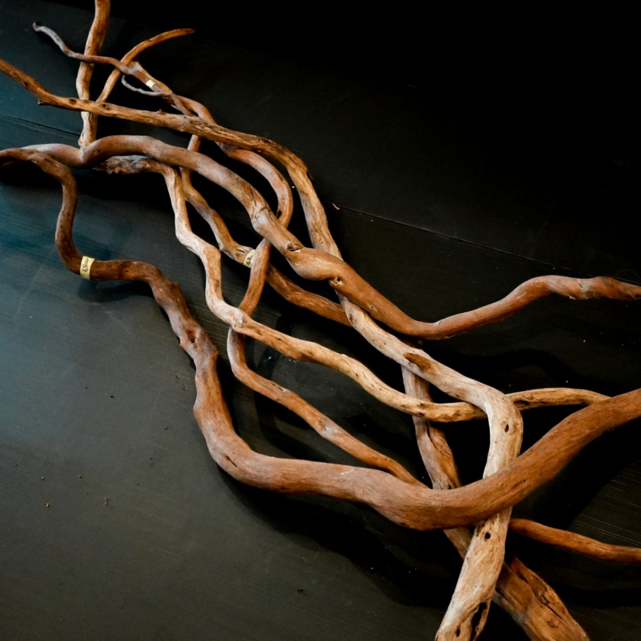 MJW-5737 「特大」ジンジャーウッド 自立天然流木 一点物 一点物 60cm