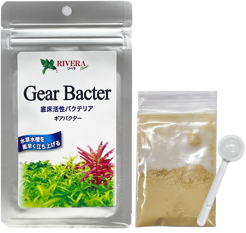 リベラ　ギアバクタ―