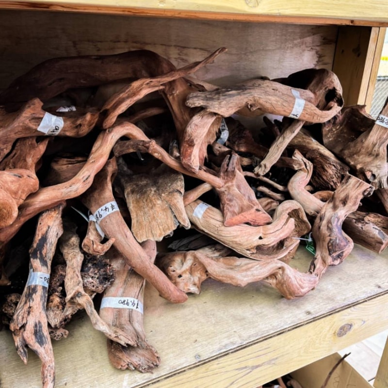 レイアウト素材,流木 | Aquarium TALLMAN