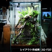 LEDSTAR INFINITY HYLAEA AQ-F30 | すべての商品 | Aquarium TALLMAN