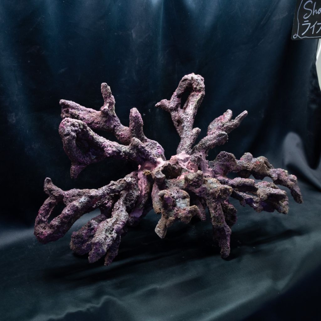 OCEAN ROCK】レイアウト済みライブロック | 人工ライブロック