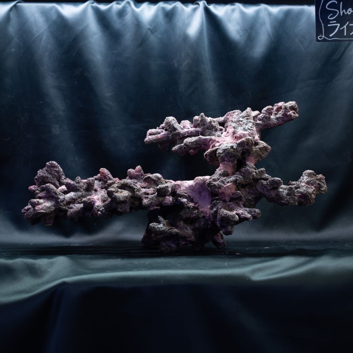 OCEAN ROCK】レイアウト済みライブロック | 人工ライブロック