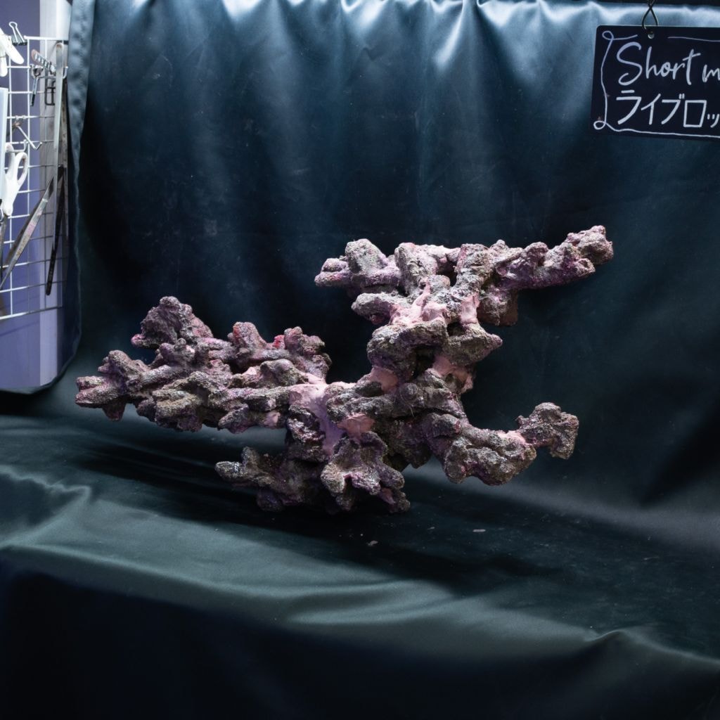 OCEAN ROCK】レイアウト済みライブロック | 人工ライブロック