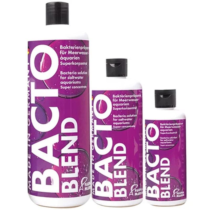 BactoBlend 250ml