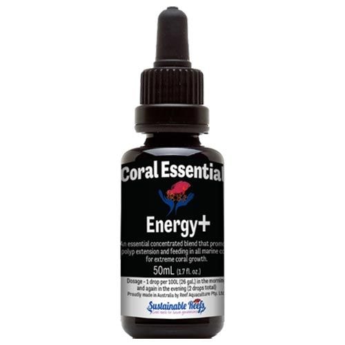 【CE】Energy+(エネルギー) 50ml