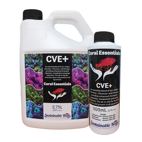 【CE】CVE+ 2.75L