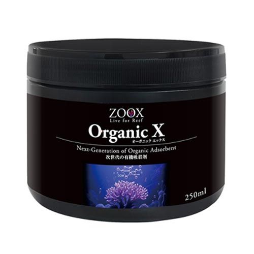 ブセファランドラ sp. ブラウニーゴースト | すべての商品