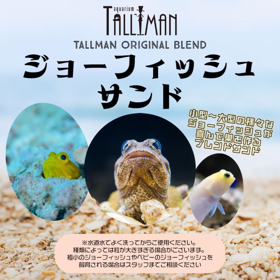 TALLMANオリジナルブレンド　ジョーフィッシュサンド　500ml