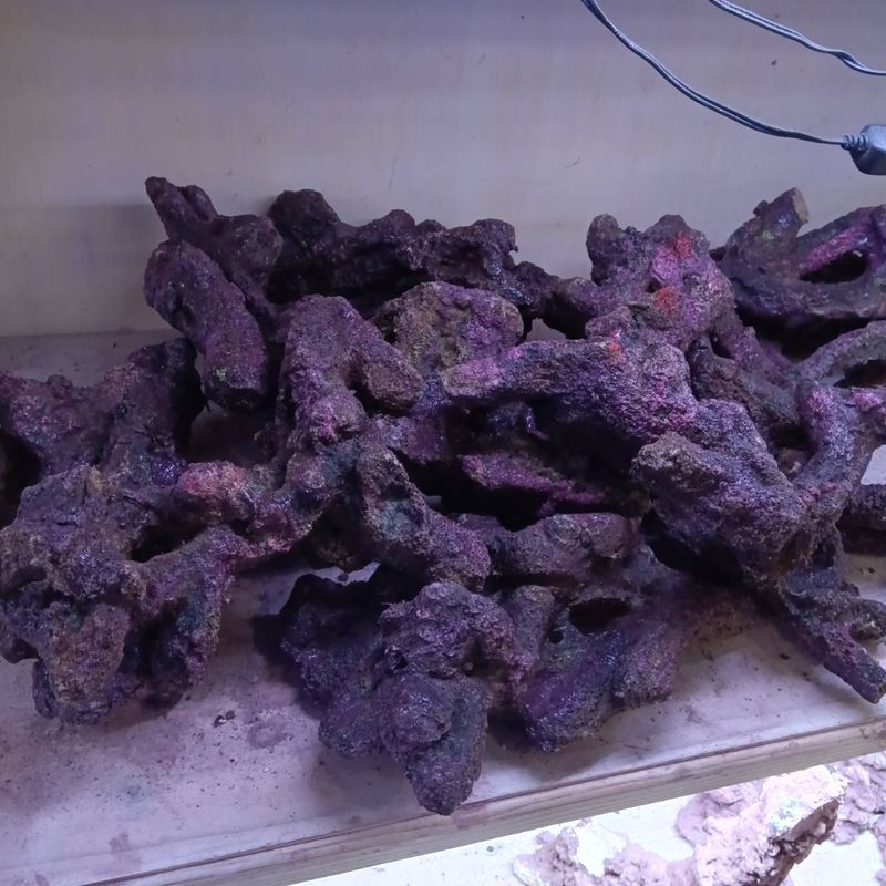 人工ライブロック　No.41. 無害化処理済 人工ライブロック No.41. 無害化処理済 人工ライブロックNo.41. 無害化