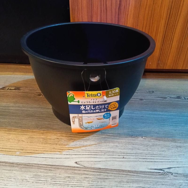 山本セレクト】おすすめブセファランドラ7種＋1セット | 水草