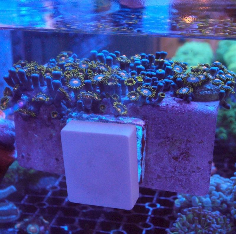 【LS】フラグラック付き　マメスナ　レッキングボール