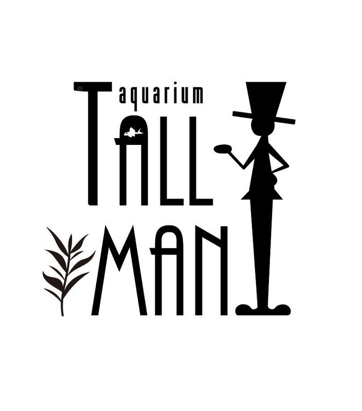 【Grande Man】コリドラス　ロングフィンアルビノパレアタス　国産ブリード（3匹2,980円）