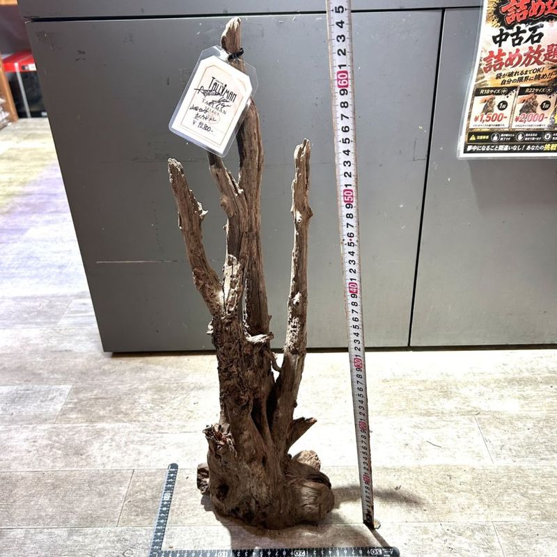 LEDSTAR Slim Pro 30 | アクアリウム用品,照明,～60cm以下 | Aquarium