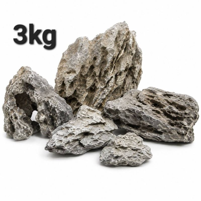 TALLMAN　”Siels(シエルス)”　アクアリウム　ADA TALLMAN ”Siels(シエルス)” For W30×H30cm | アクアリウム用品,照明